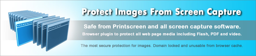 छवि, वेब पेज और वेब मीडिया के लिए प्रतिलिपि संरक्षण
